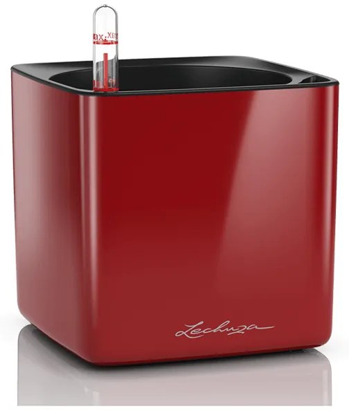 Lechuza Cube Glossy 14 All inclusive set scarlet red high-gloss 14x14x14 cm