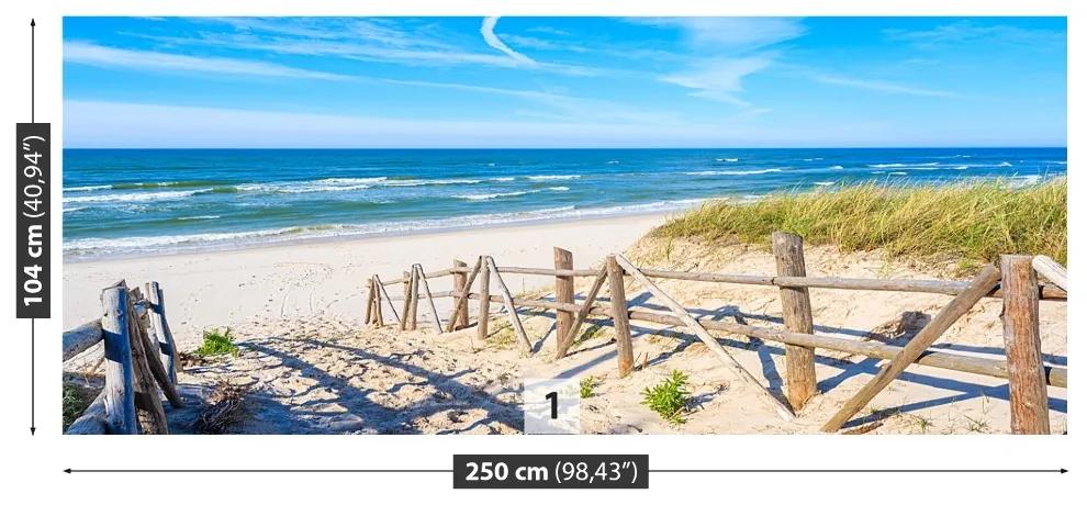 Fototapeta Vliesová Cesta na pláž 152x104 cm