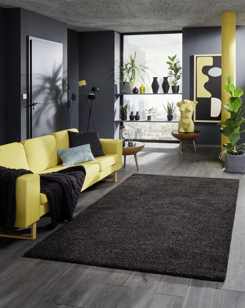 Koberec Shaggy 160x230 cm, antracitový