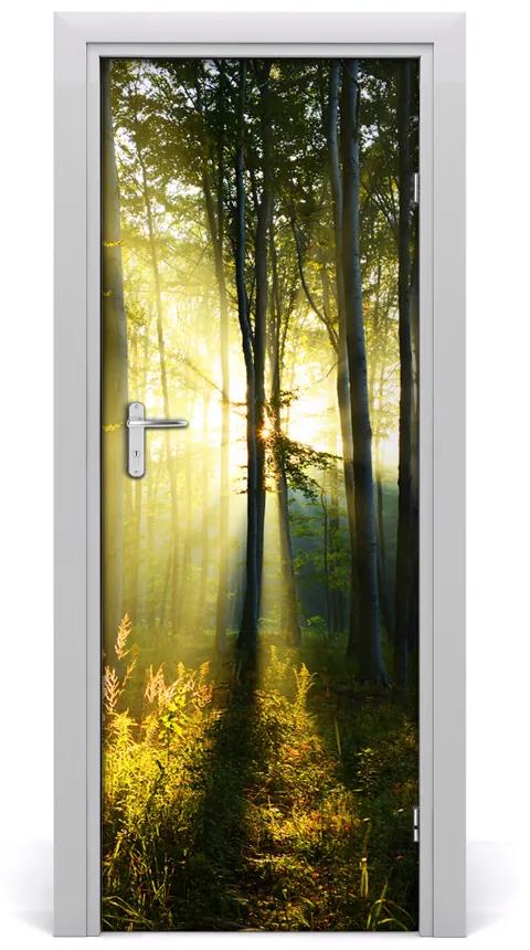 Fototapeta samolepiace na dvere les príroda 75x205cm