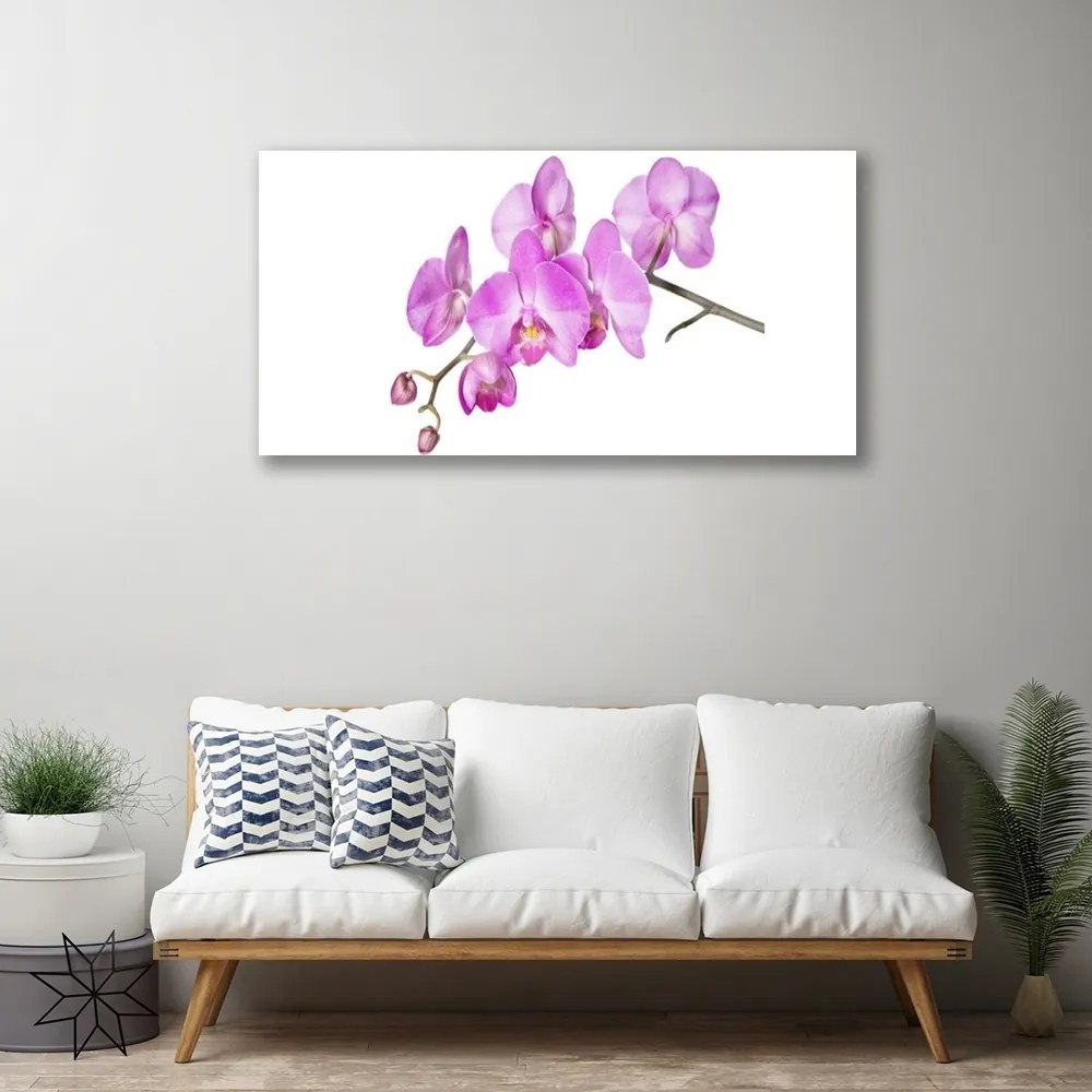 Obraz plexi Vstavač orchidea kvety 100x50 cm