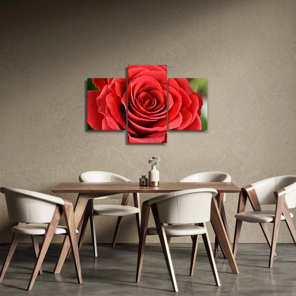 Obraz kvetu ruže (90x60 cm)