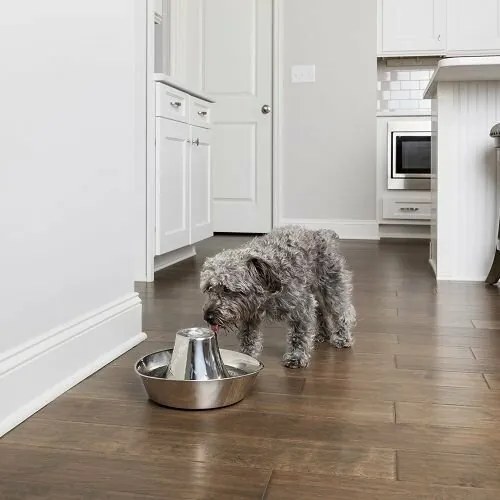 PetSafe® Seaside Nehrdzavejúca fontánka 1,8 l
