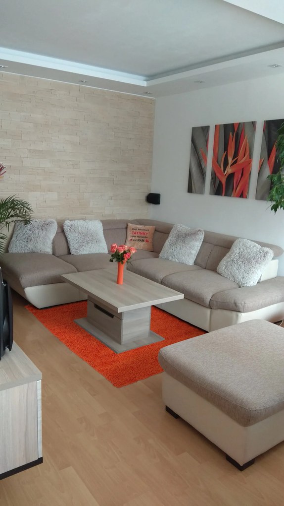 Mono Carpet, Kusový koberec Efor Shaggy 3419 Orange, 80x150, oranžová, obývacia izba