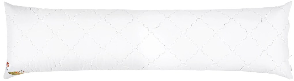 LIVARNO home Vankúš Polygiene® pre ľudí spiacich na boku, 40 x 145 cm (100365780)