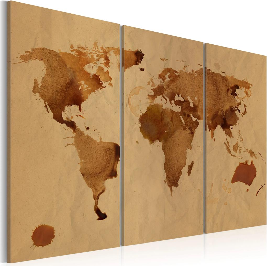 Obraz - The World painted with coffee - triptych 60x40