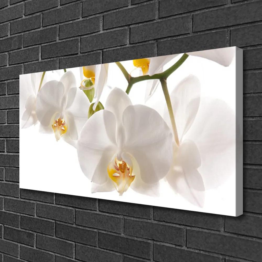 Obraz Canvas Orchidea kvety príroda 140x70 cm