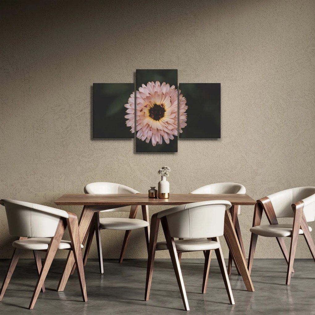 Obraz oranžovej kvetiny (90x60 cm)