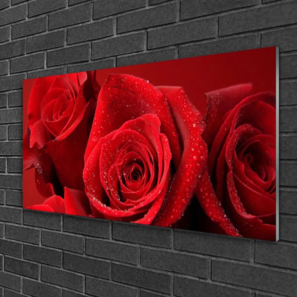Obraz na skle Ruže kvety 125x50 cm