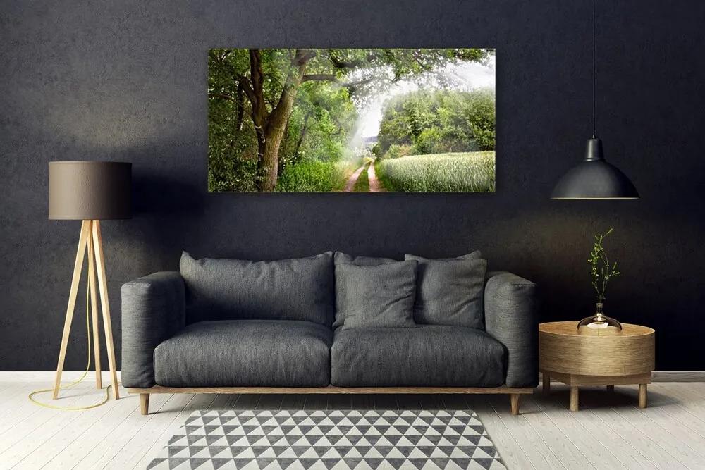 Obraz plexi Stromy chodník príroda 120x60 cm