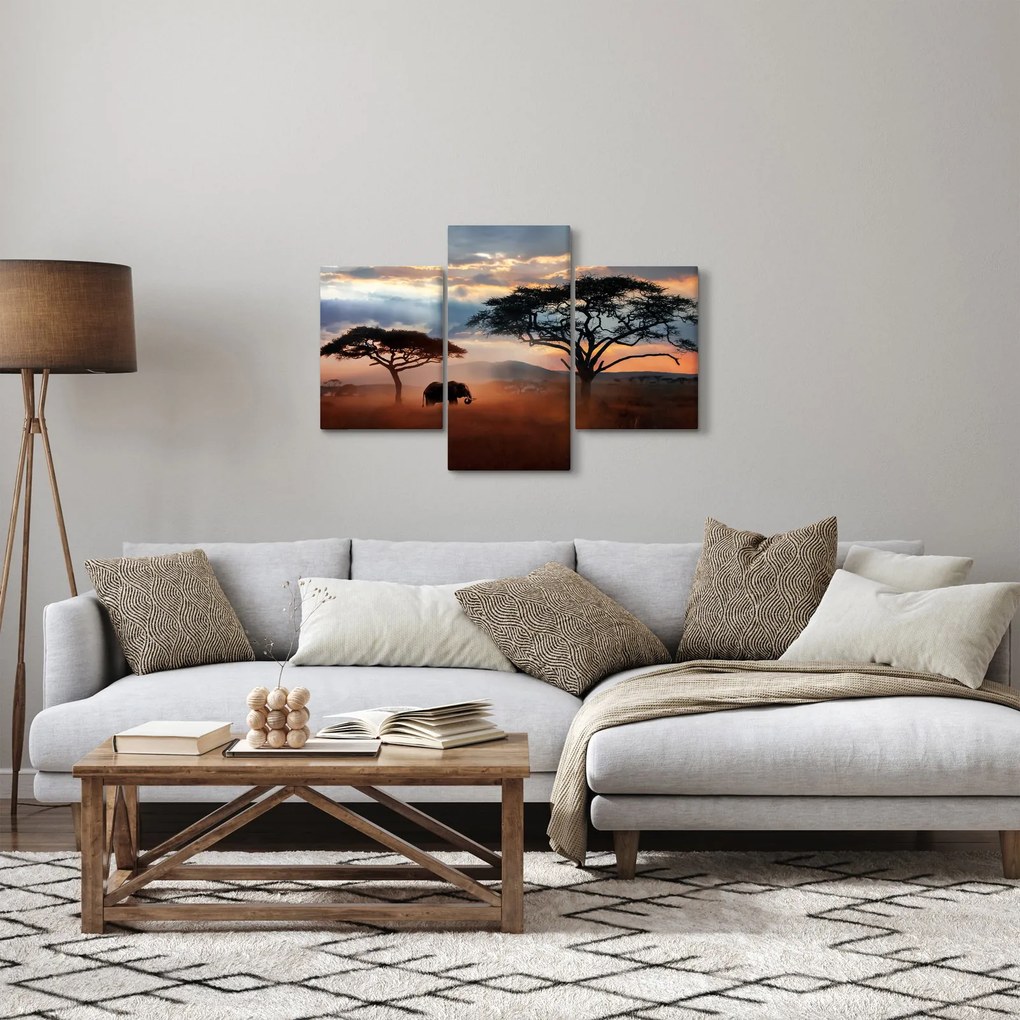 Obraz - Národný park Serengeti, Tanzánia, Afrika (90x60 cm)