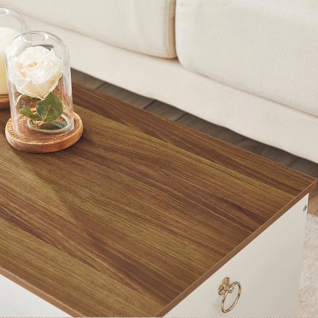 Lavice s úložným prostorem Vasagle Braisy 100 cm bílá/ořech