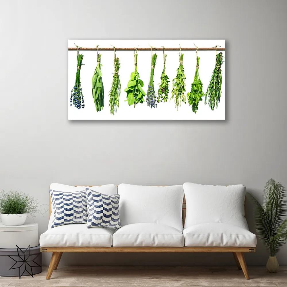Obraz na plátne Kvety rastlina príroda 140x70 cm