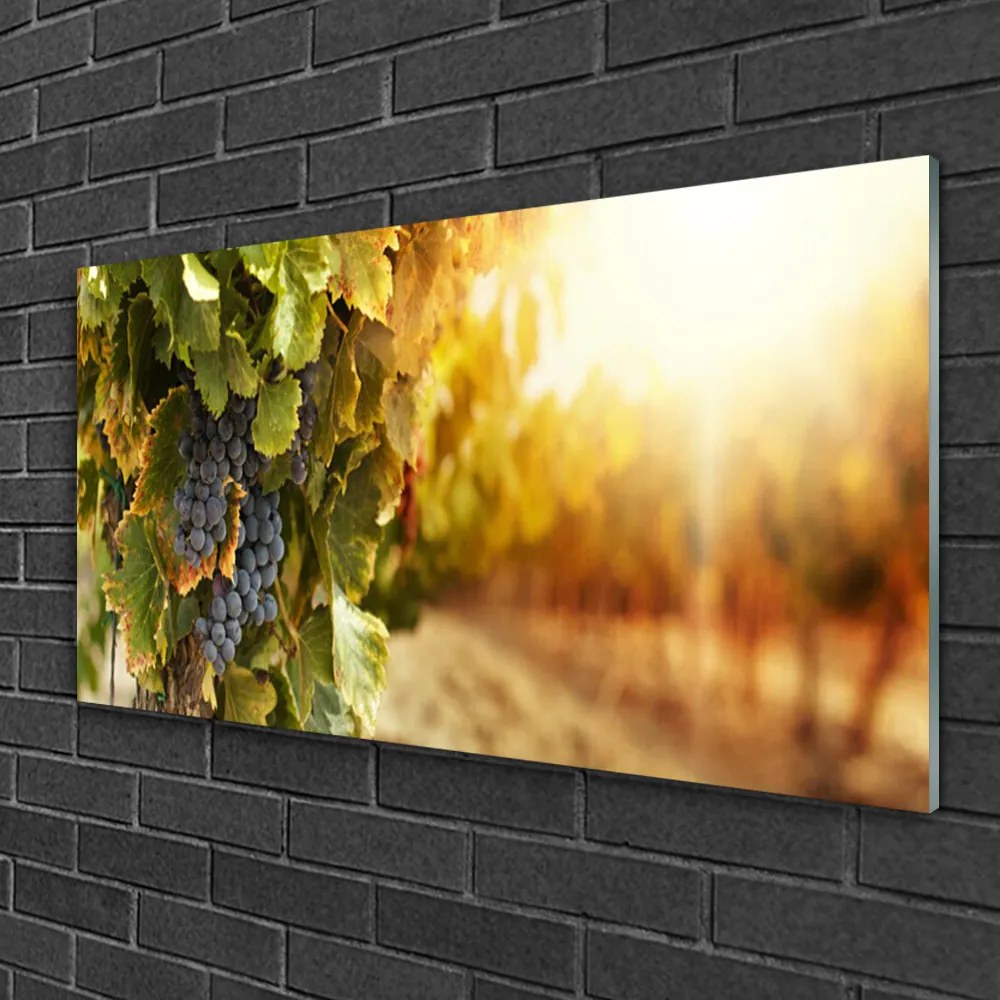 Skleneny obraz Hrozno listy kuchyňa 100x50 cm