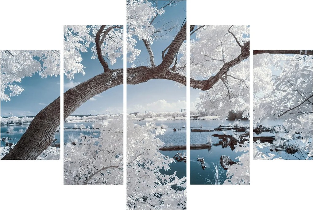 Obraz zasneženého stromu pri vode (150x105 cm)