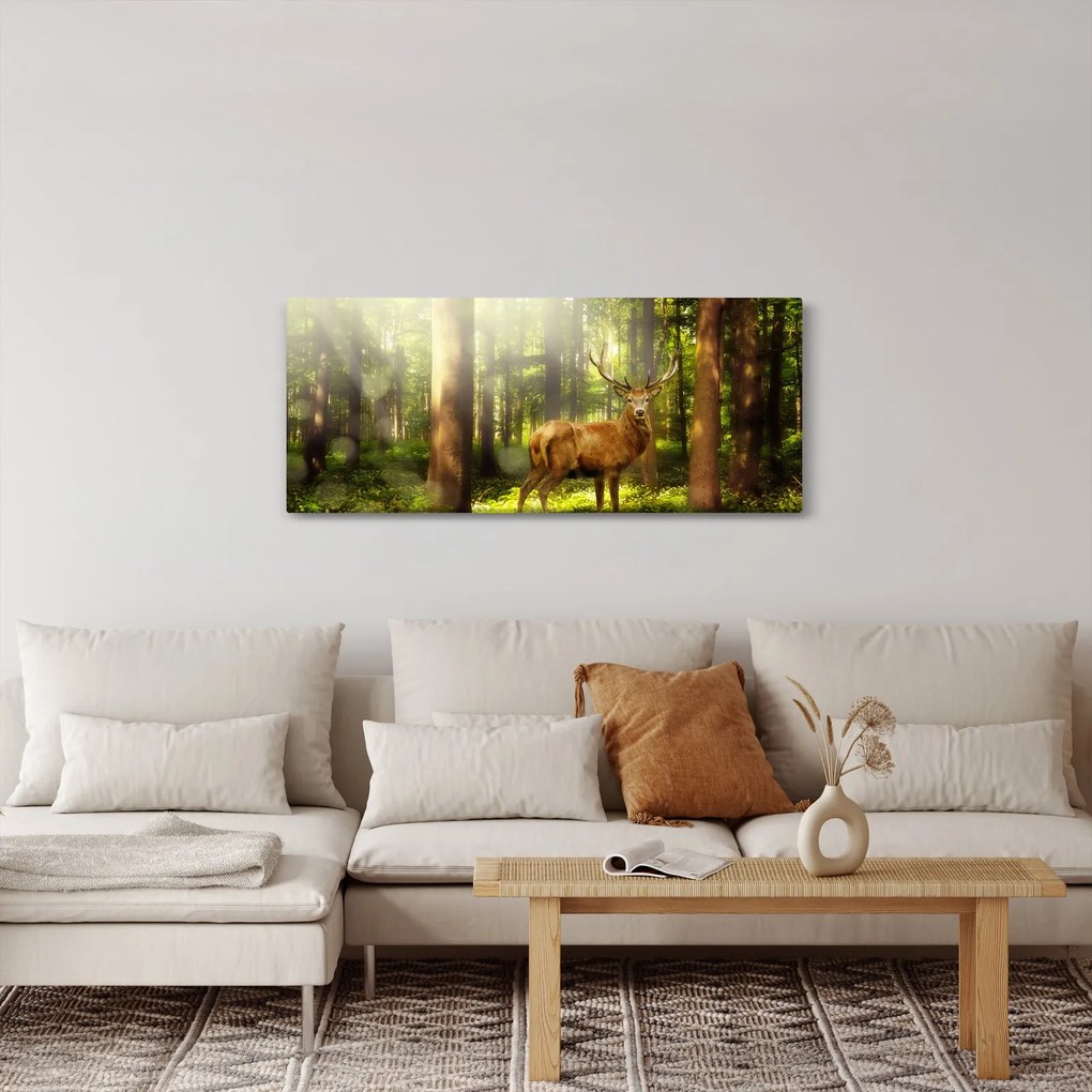 Obraz jeleňa v lese (120x50 cm)
