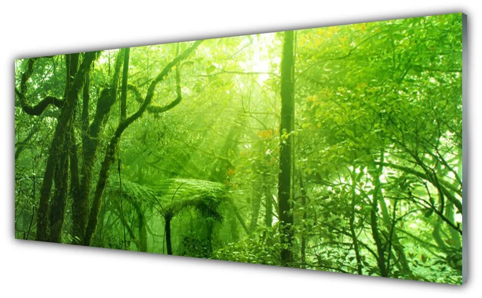 Obraz na akrylátovom skle Stromy príroda 125x50 cm