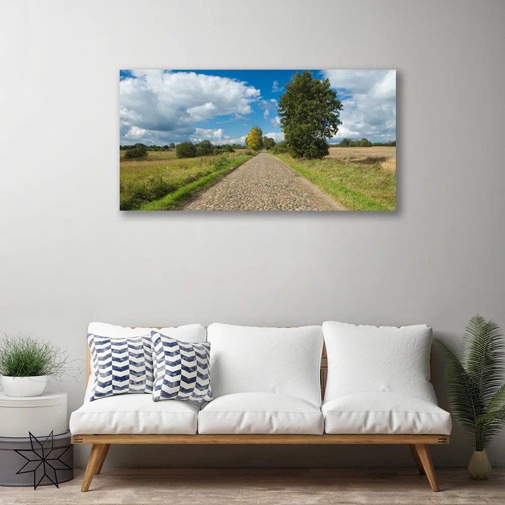 Obraz na plátne Dedina cesta dlažba krajina 120x60 cm
