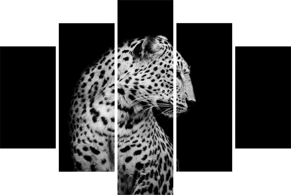 Obraz - Leopard (150x105 cm)