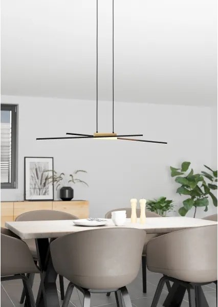 Eglo 900489 - LED Stmievateľný luster na lanku PANAGRIA 2xLED/13W/230V