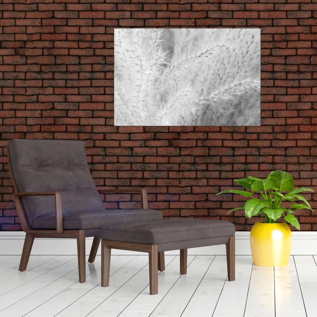 Obraz - Pampas grass N⁰1 (90x60 cm)