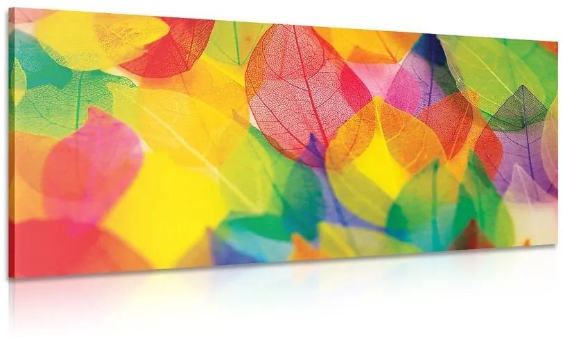 Obraz listy v jesenných farbách - 100x50