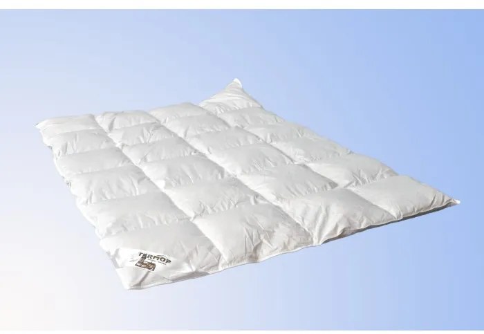 Termop paplón Premium 140x200 cm Letný, perie/páper biely