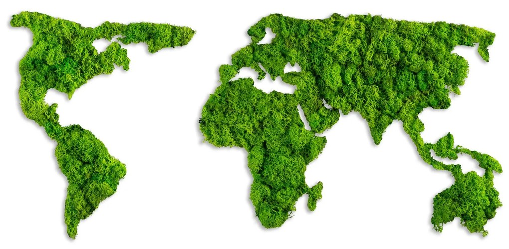 World Map