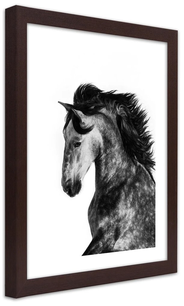 Gario Plagát Divoký orol Farba rámu: Bez rámu, Rozmery: 40 x 60 cm
