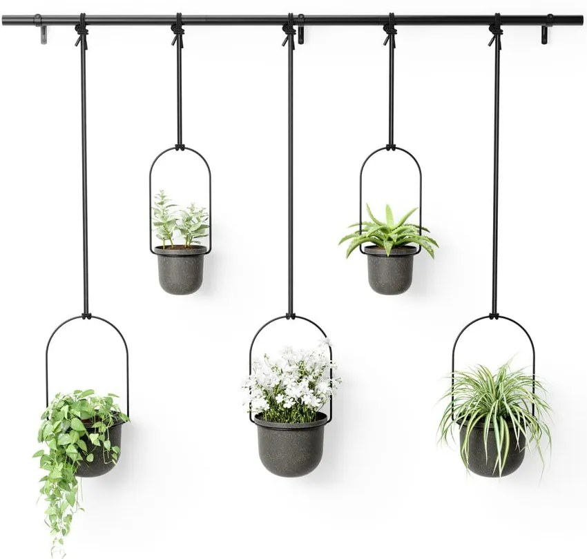 Plastové obaly na kvetináče v súprave 5 ks na bylinky/závesné a nástenné ø 7,5 cm Triflora – Umbra