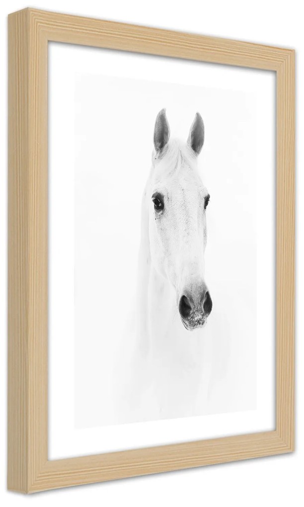 Gario Plagát Sivý kôň Farba rámu: Bez rámu, Rozmery: 70 x 100 cm