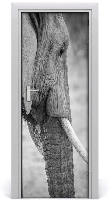 Samolepiace fototapety na dvere slon 95x205 cm