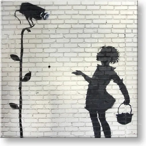 Obraz na plátne Street ART – Banksy