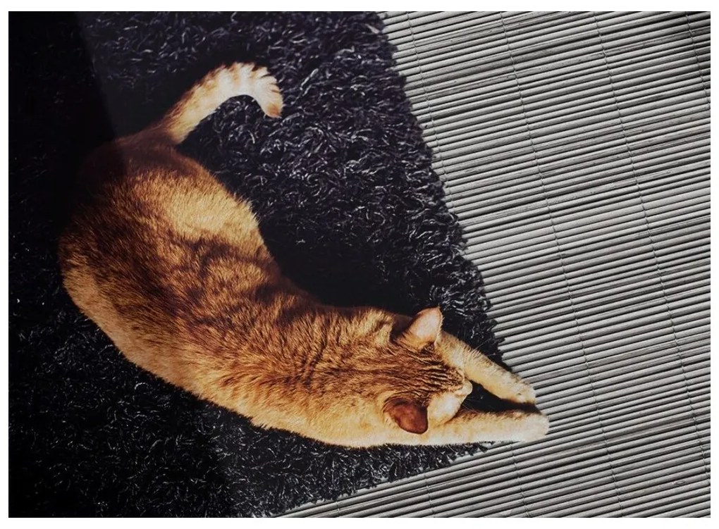 DECOREUM Vinylová rohož pre domácnosť bambusové rohože 150x225 cm 89842