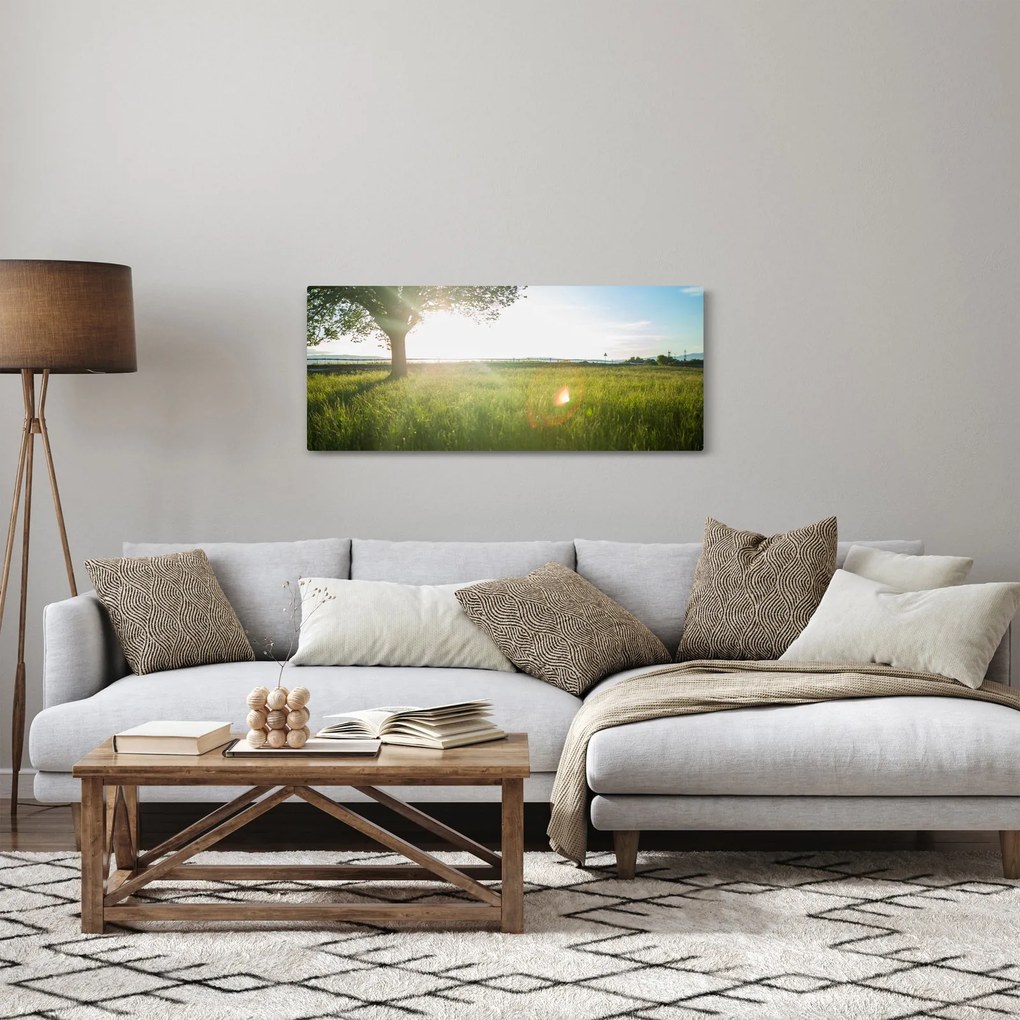 Obraz letnej lúky (120x50 cm)