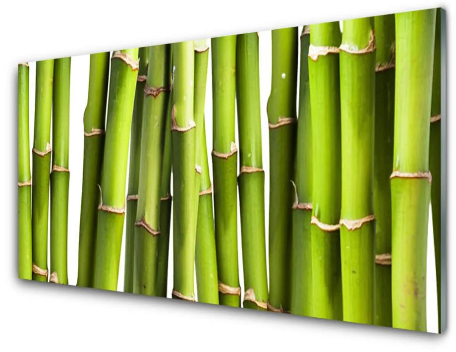 Skleneny obraz Bambus rastlina príroda 140x70 cm