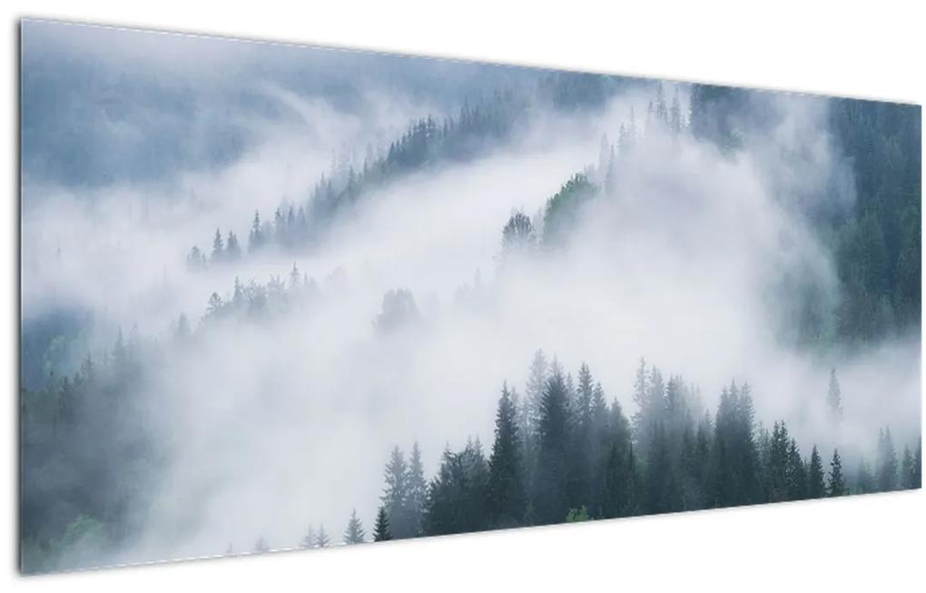 Obraz - Stromy v hmle (120x50 cm)
