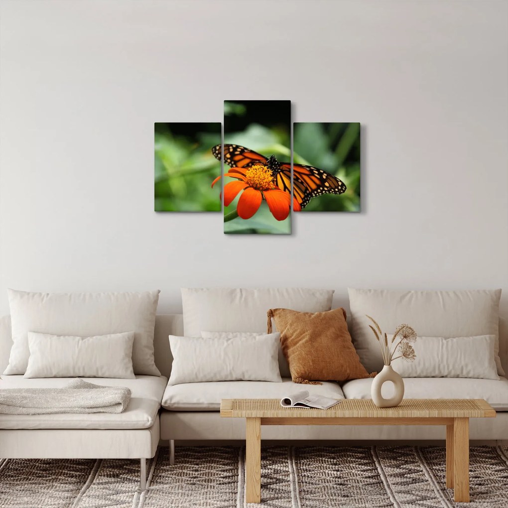 Obraz motýľa na kvetine (90x60 cm)