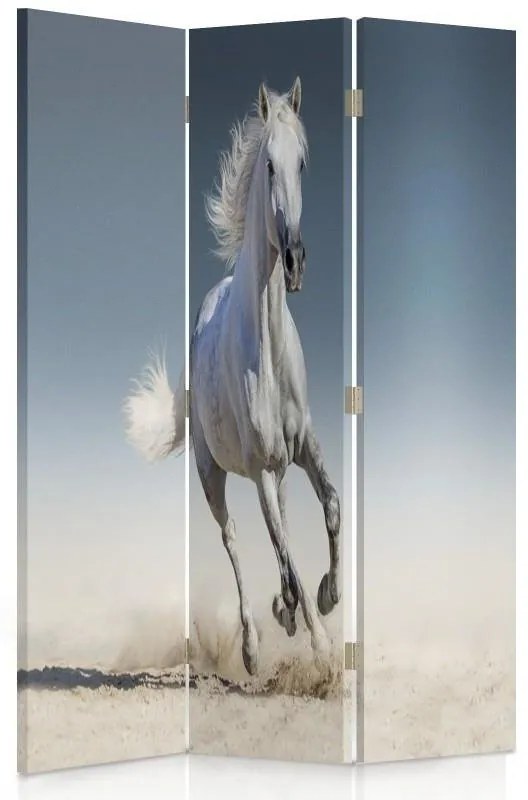 Gario Paraván Kôň beží po piesku Rozmery: 180 x 170 cm, Prevedenie: Otočný paraván 360°