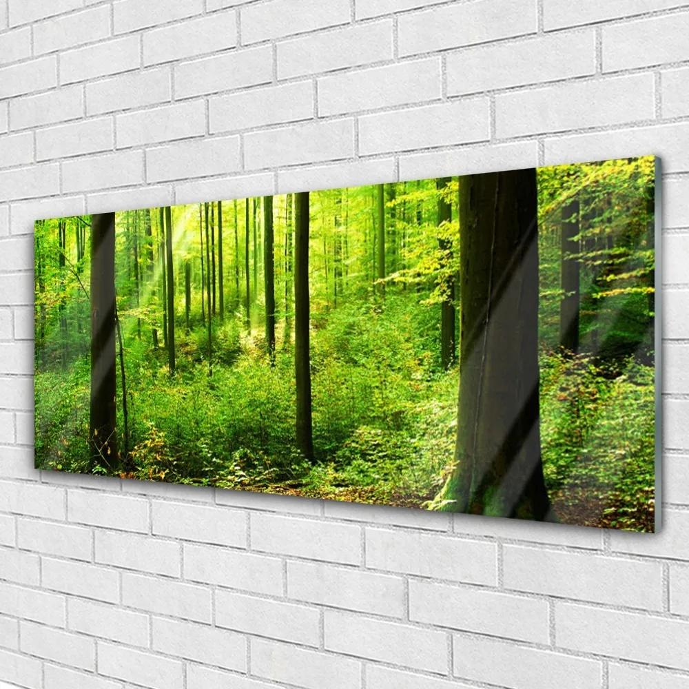 Obraz plexi Les zeleň stromy príroda 125x50 cm