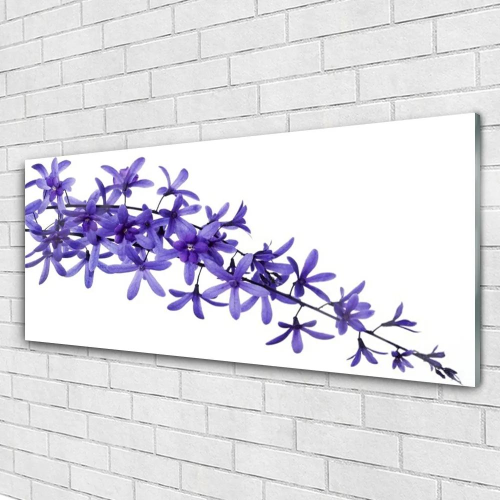 Obraz plexi Kvety rastliny príroda 125x50 cm