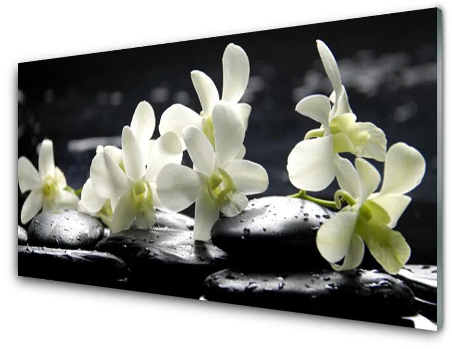 Obraz na skle Kvet kamene rastlina 100x50cm