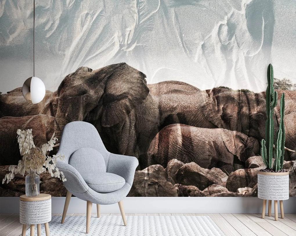 Gario Fototapeta Slony v stáde Materiál: Vliesová, Rozmery: 200 x 140 cm