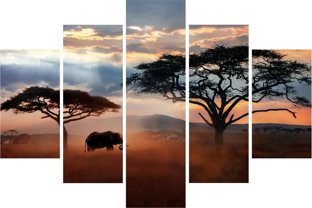 Obraz - Národný park Serengeti, Tanzánia, Afrika (150x105 cm)