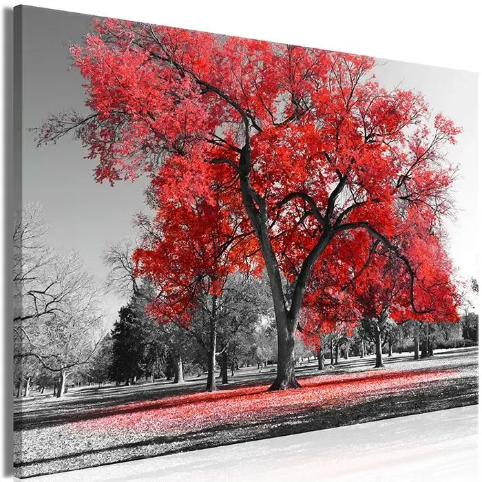 Artgeist Obraz - Autumn in the Park (1 Part) Wide Red Veľkosť: 120x80, Verzia: Premium Print