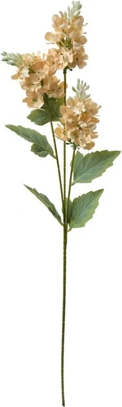 Dekorácia umelý kvet s béžovými kvetmi - 12*5*71 cm