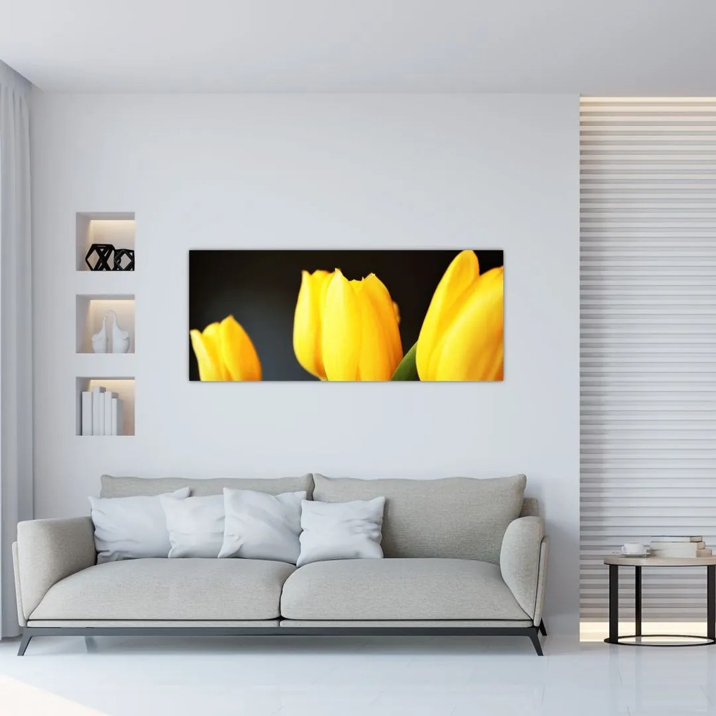 Obraz tulipánov (120x50 cm)