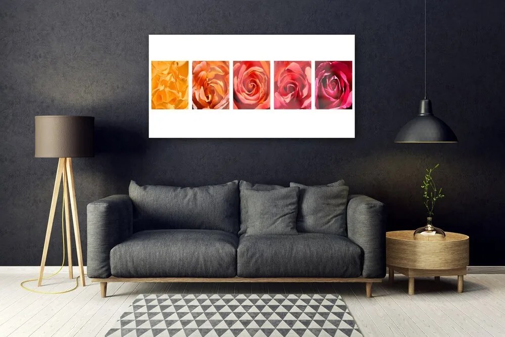 Obraz plexi Ruže kvety rastlina 120x60 cm