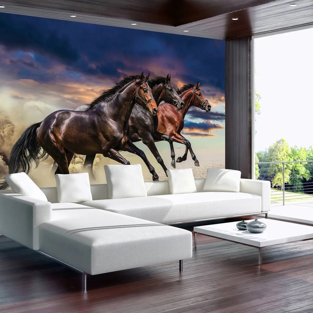Fototapeta - Kôň (254x184 cm)