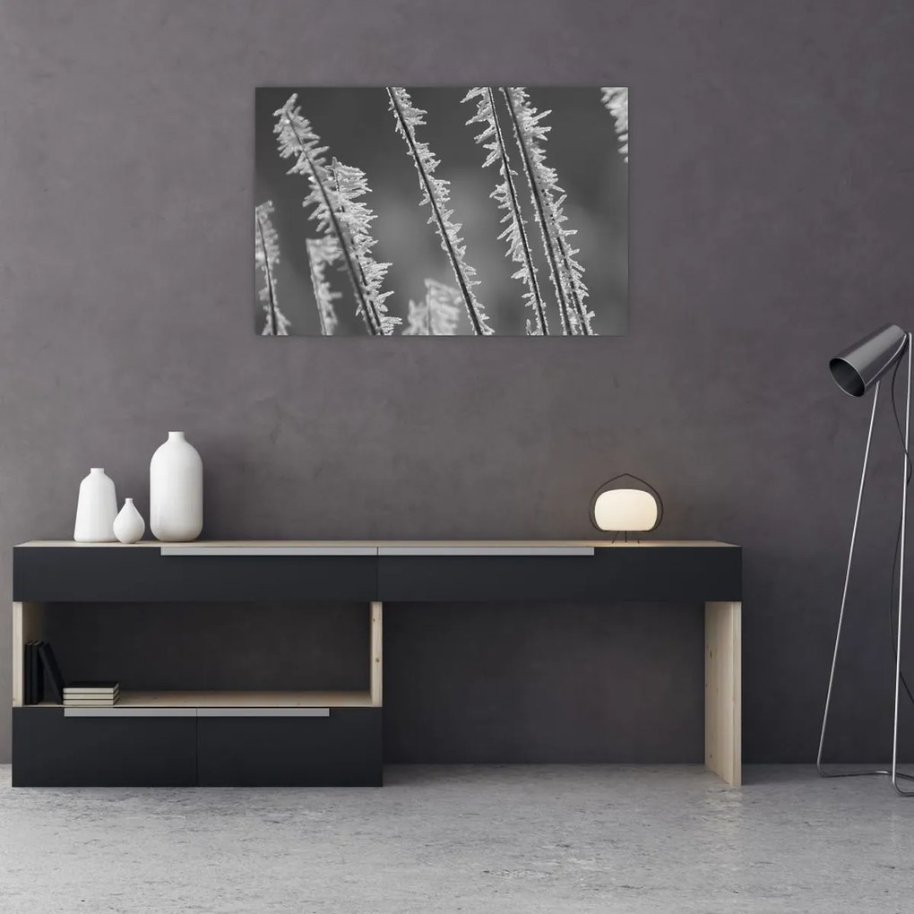 Obraz - Mrazivá zima (90x60 cm)